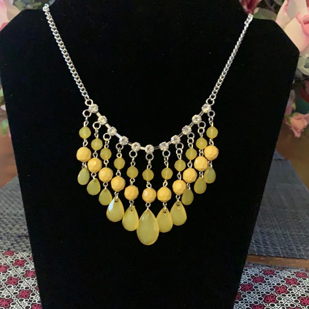 Paparazzi Necklace and Earrings Set